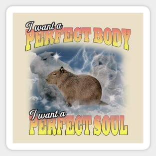 Cabybara Vintage 90s Bootleg Style Graphic T-Shirt, i want a perfect body i want a perfect soul Shirt, Funny Capybara Meme Sticker